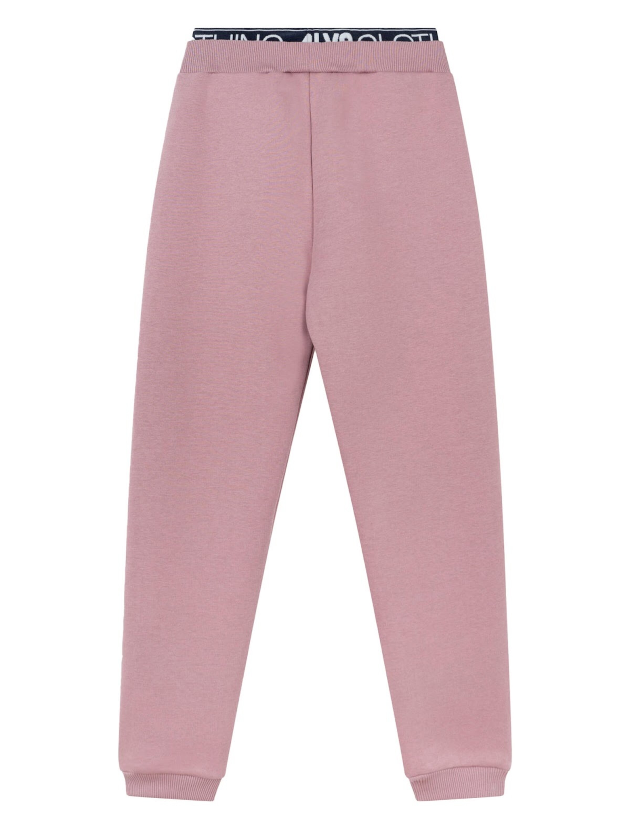 NOORLYS Regular Workout Pants 'CLASSIC' in Pink