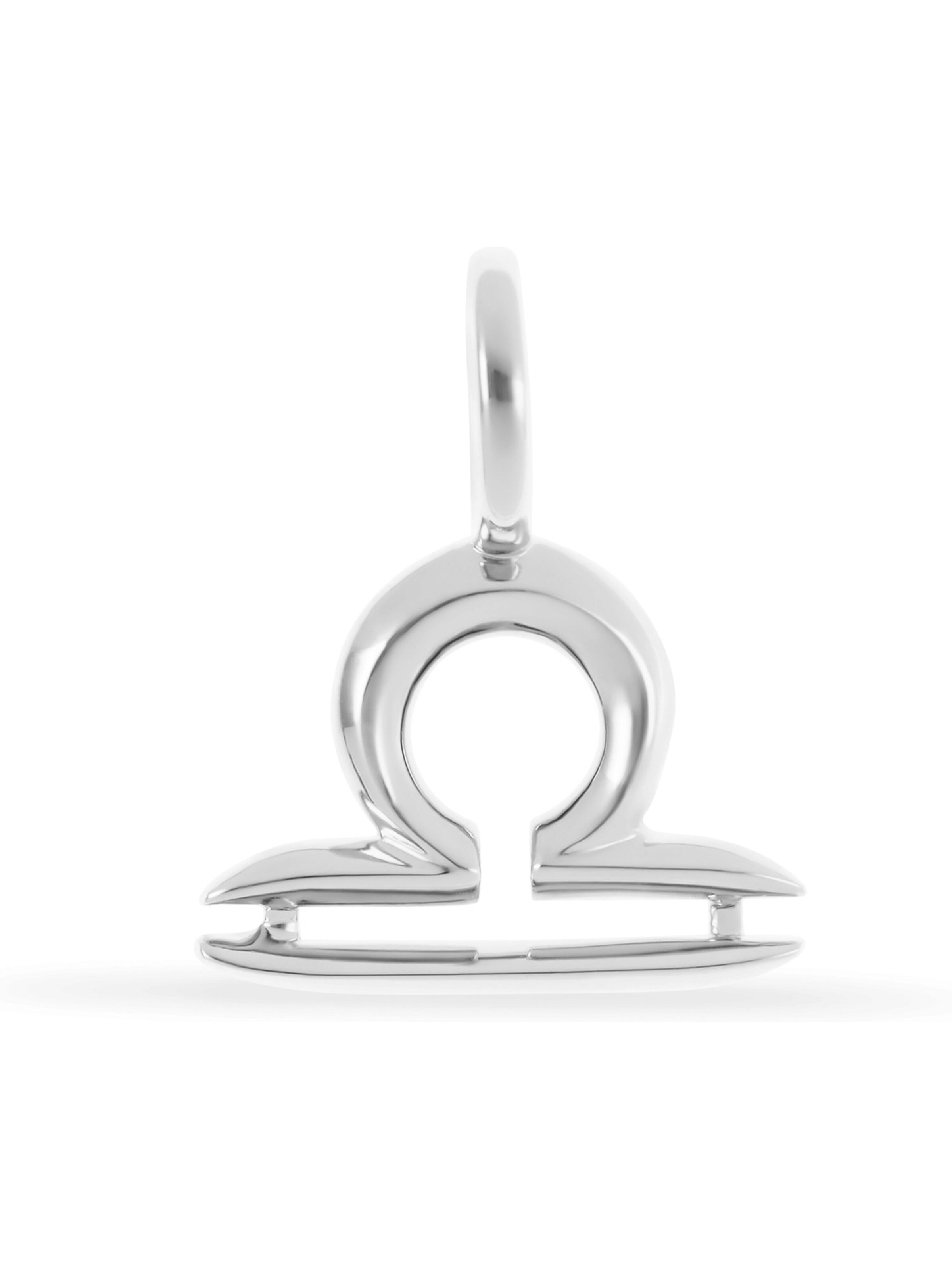 FAVS Anhänger in Silber: Vorderseite