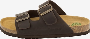 DR. BRINKMANN Mules 'Bonillo' in Brown: front