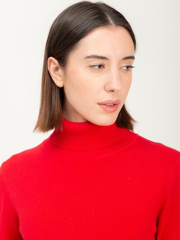 raudona Influencer Megztinis