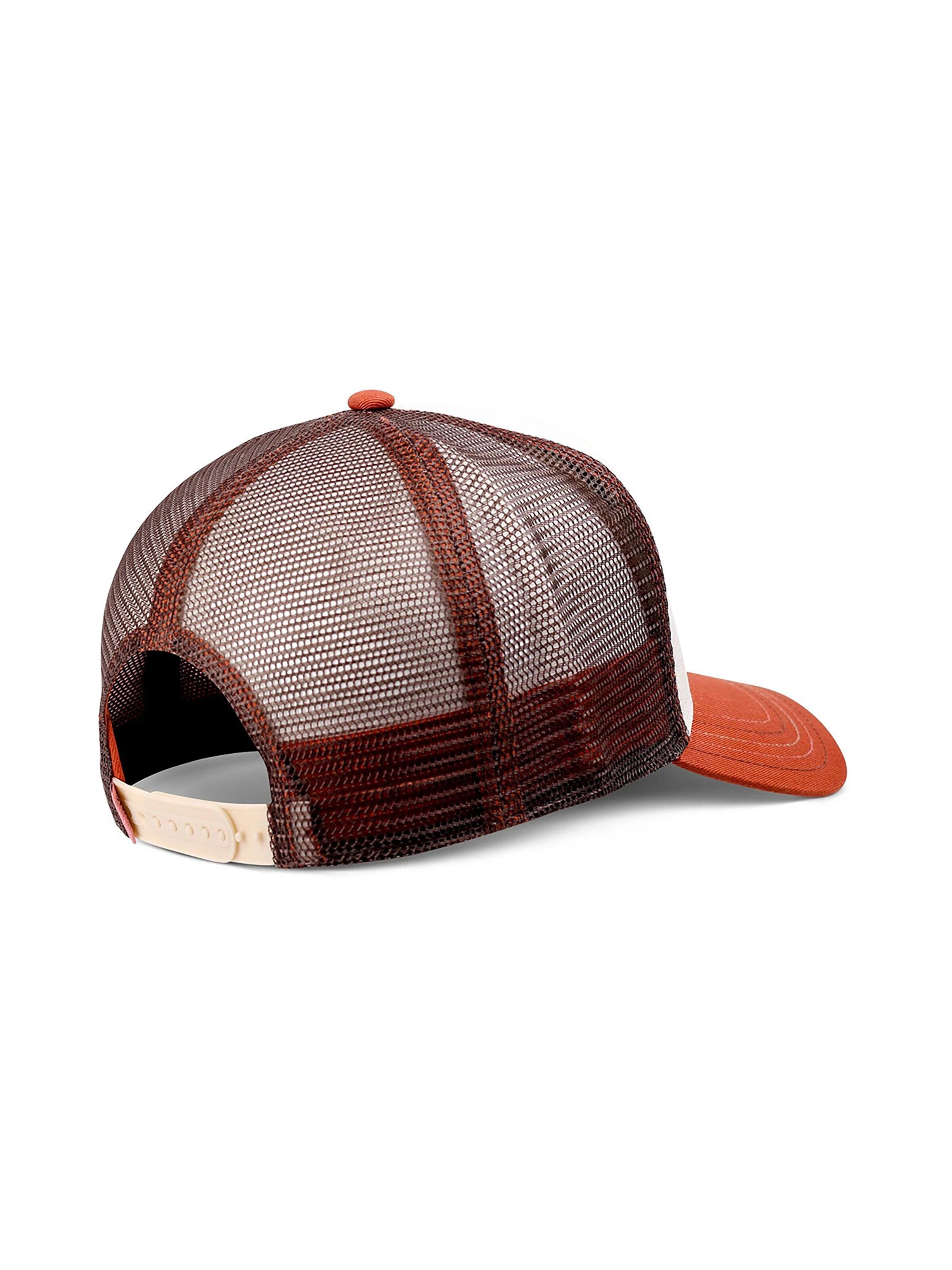 DJINNS Cap 'HFT LSCC Funky Patch' in Mixed colors