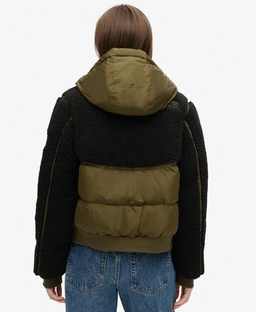 Superdry Winterjas 'Everest' in Groen