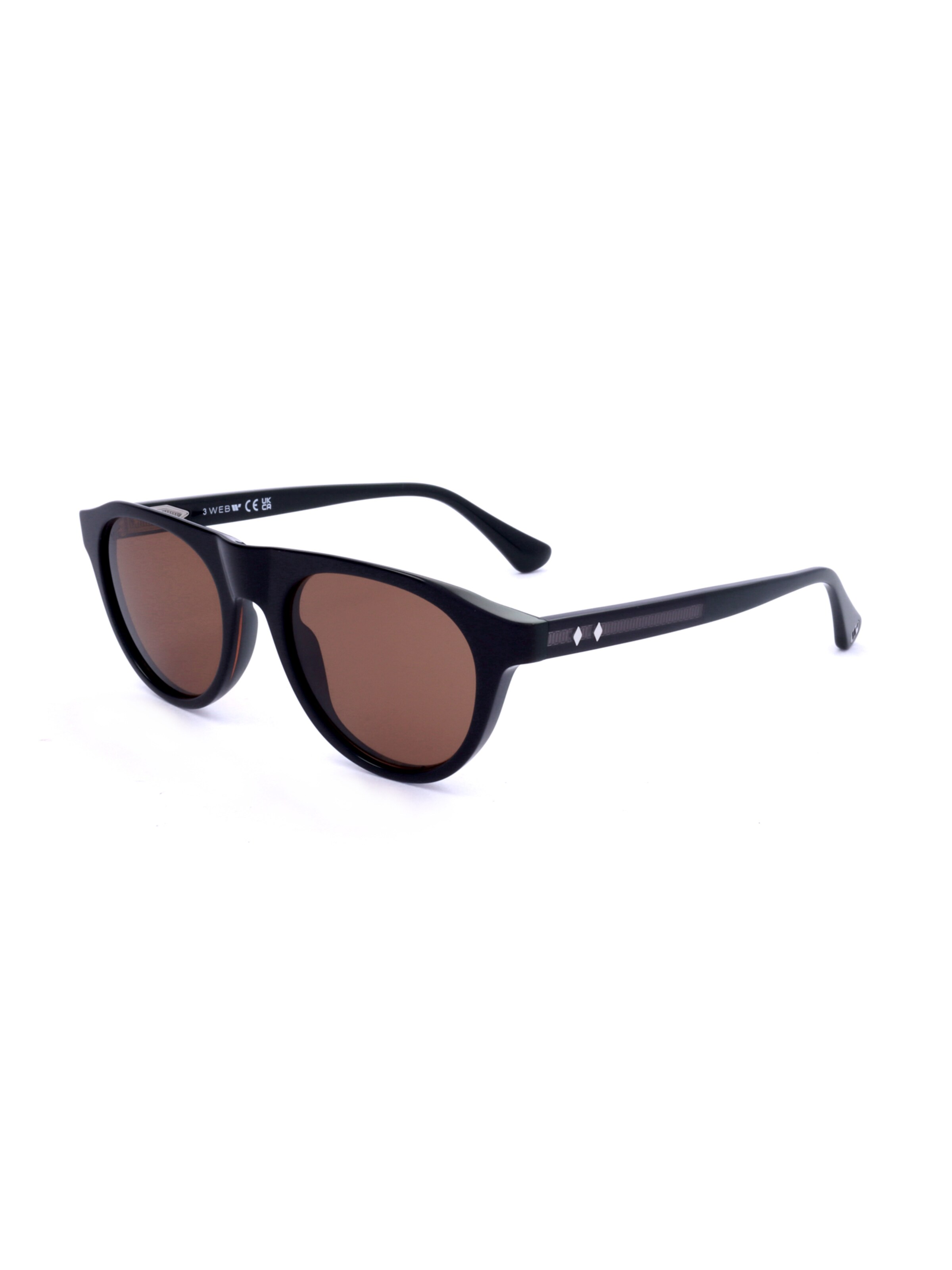 Occhiali da sole 'WE0377' di Web Eyewear in marrone: frontale