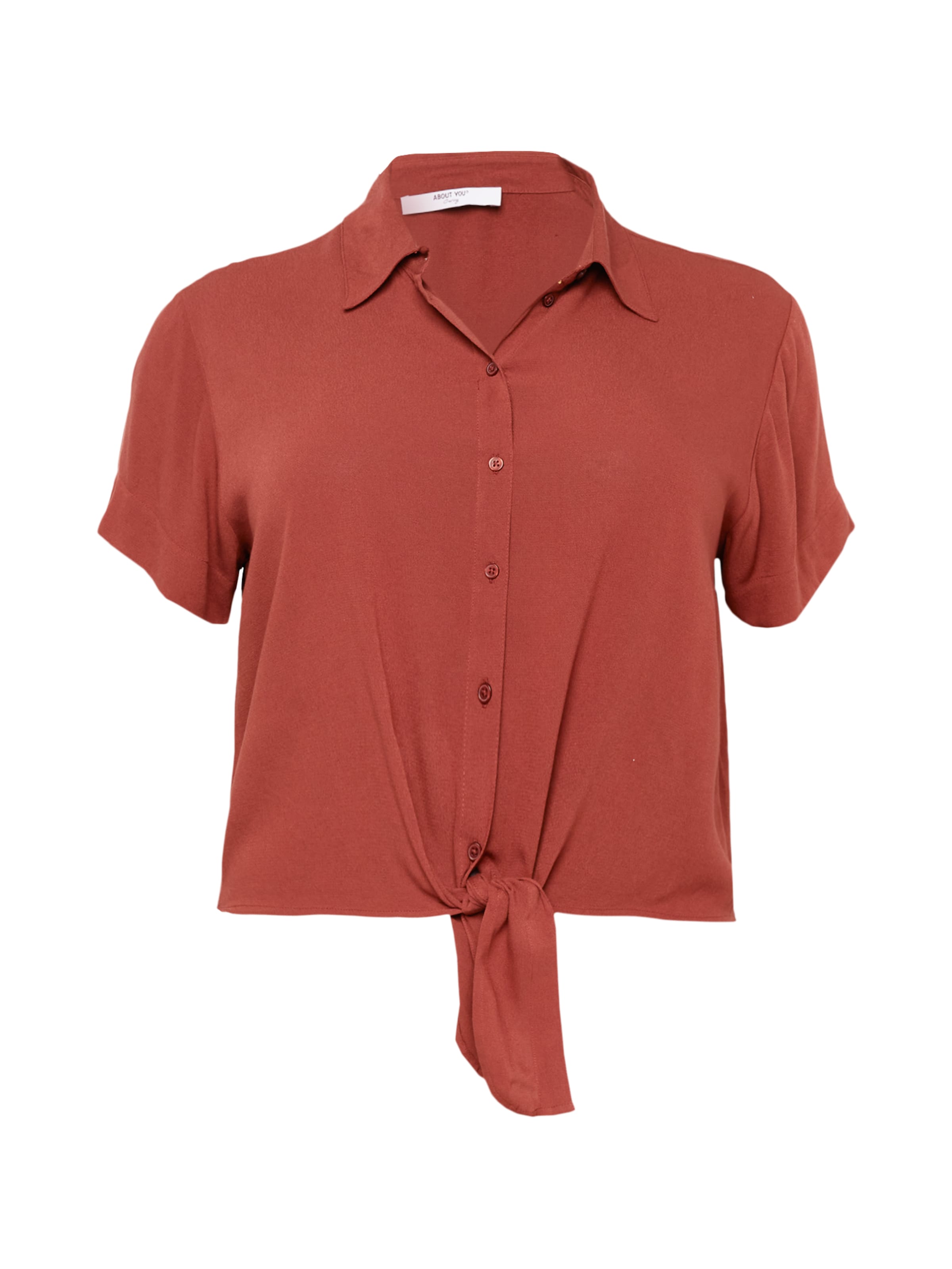 ABOUT YOU Curvy Μπλούζα 'Cornelia' σε καφέ: μπροστά