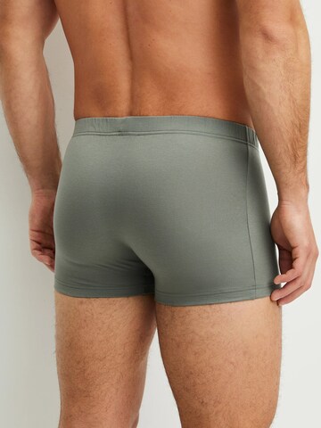 CALIDA Boxer shorts 'Evolution' in Green