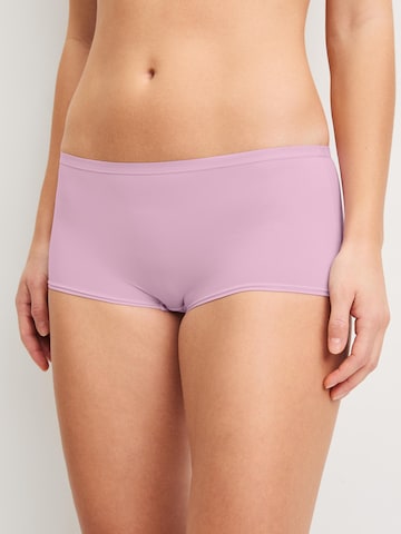 CALIDA Boyshorts 'Eco Sense' in Purple
