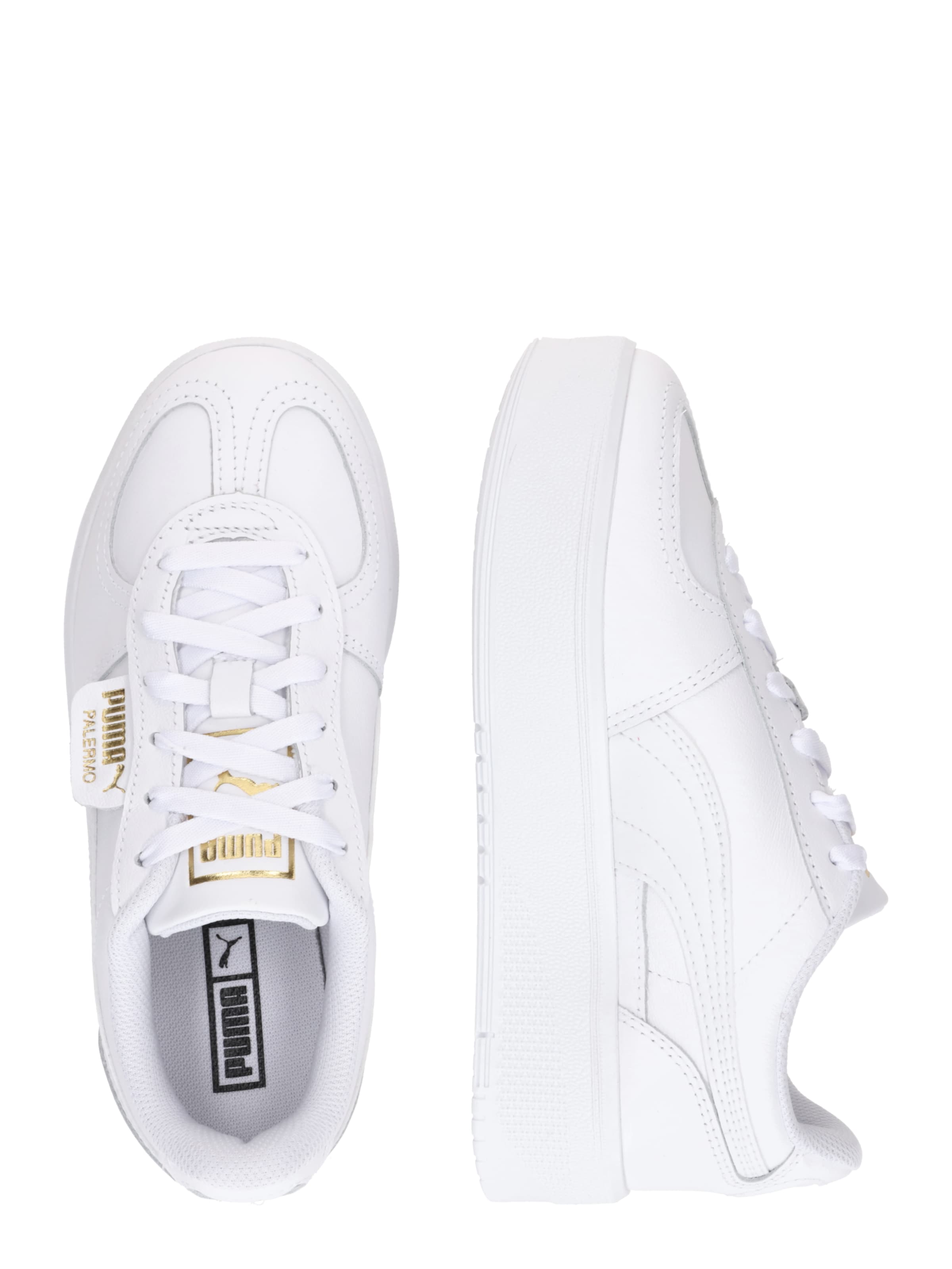 PUMA Низкие кроссовки 'Palermo Elevata' в Белый