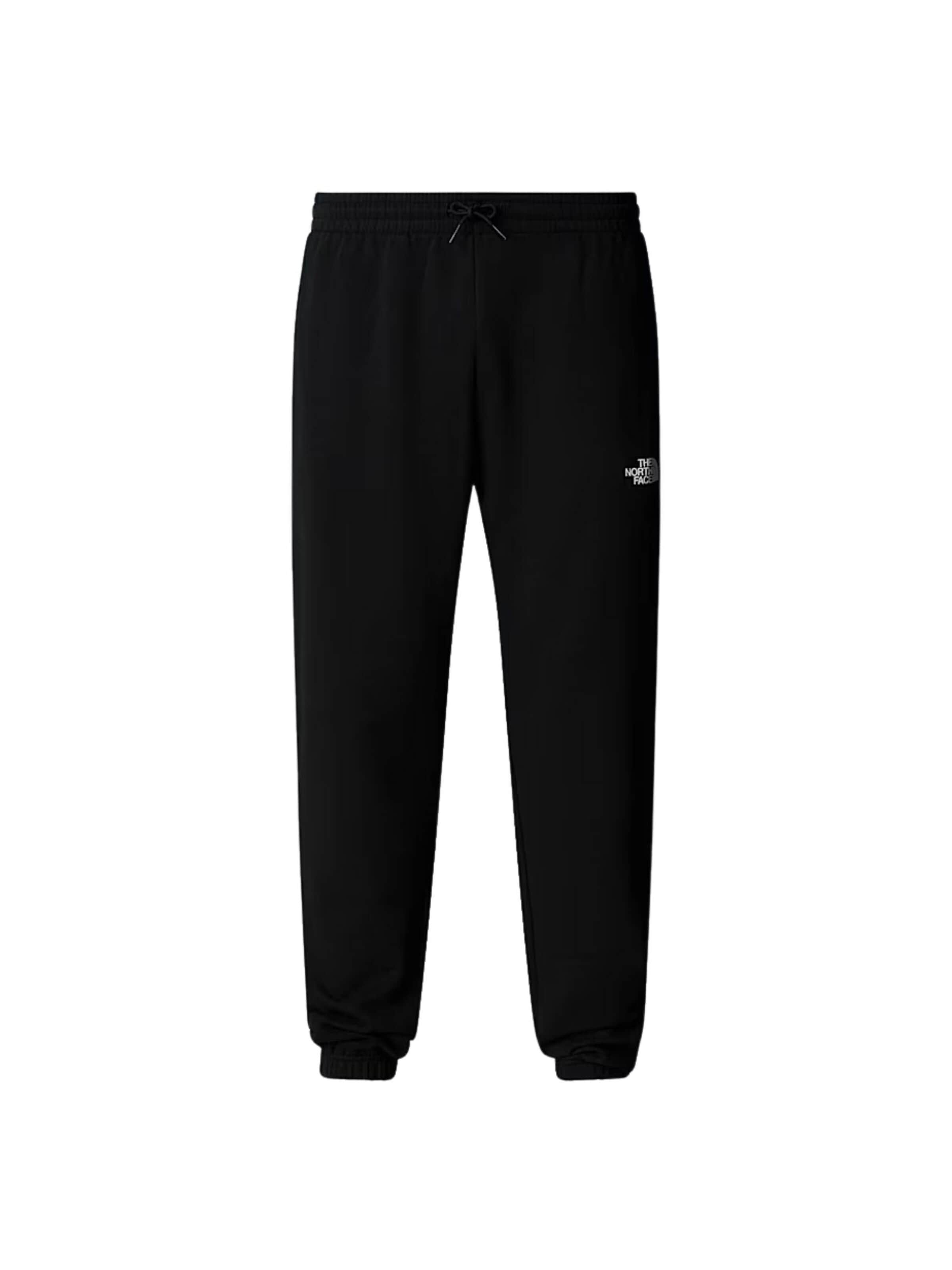 THE NORTH FACE Normalny krój Spodnie outdoor 'THE NORTH FACE M SD LT RG TP JOGGER PANTALONE' w kolorze czarny: przód