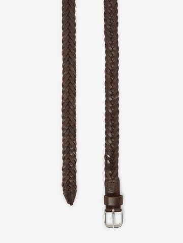 TOM TAILOR Belt 'Claudette' in Brown