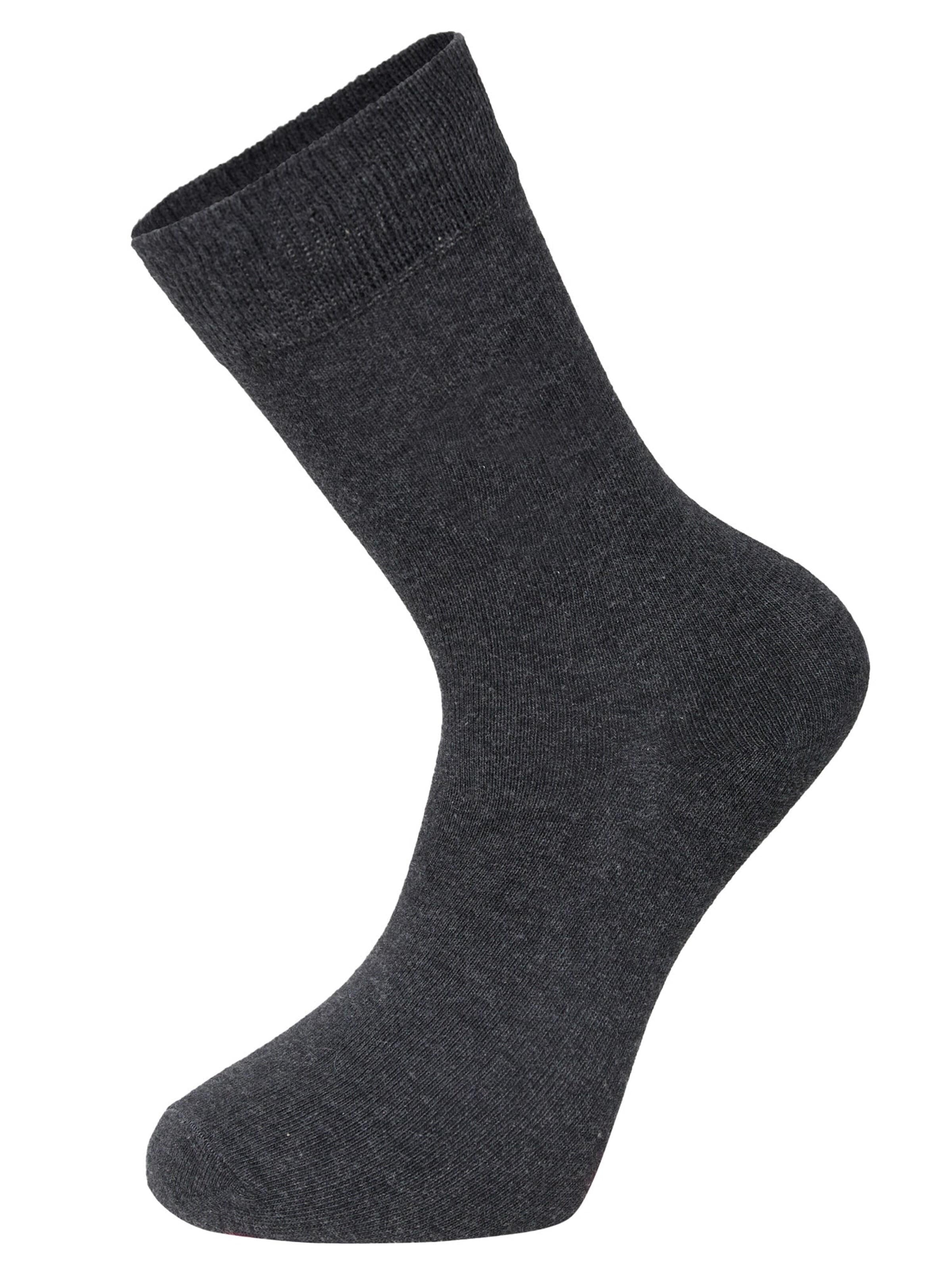 Lavecchia Socks 'LV-904 Übergrößen' in Grey