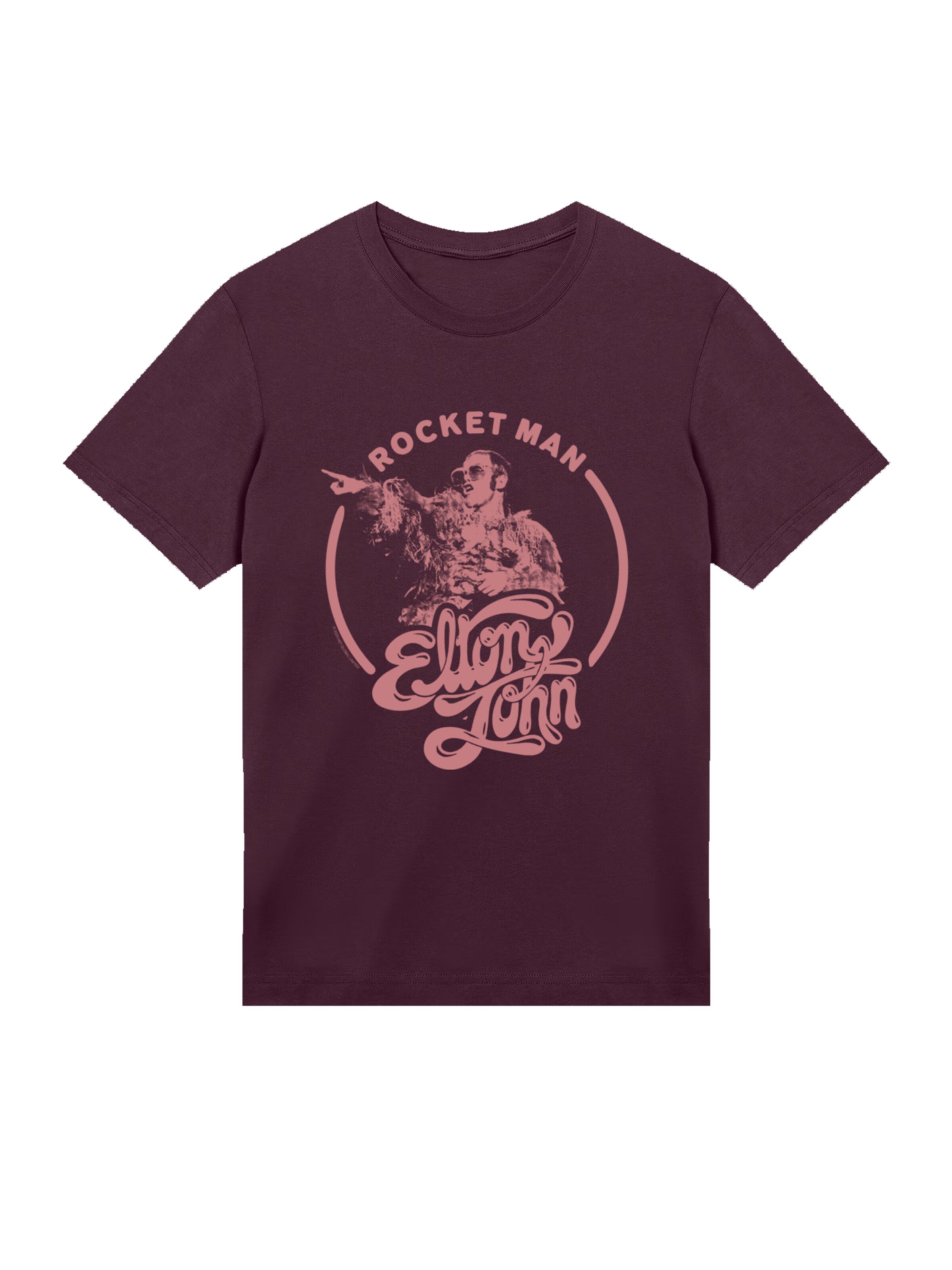 F4NT4STIC Shirt in Brown: front