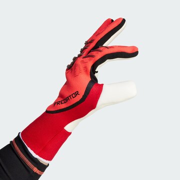 ADIDAS PERFORMANCE Sports gloves 'Predator Pro' in Red
