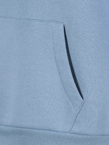 Sublevel Sweatshirt in Blauw