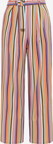 usha BLUE LABEL Wide leg Pleat-Front Pants in Mixed colors: front