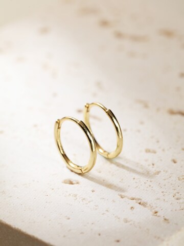 Hey Happiness Ohrringe 'Basis' in Gold