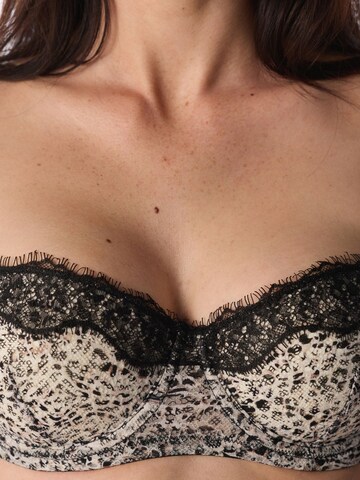 Penti Klasičen Nedrček 'BHs & Bralettes' | mešane barve barva