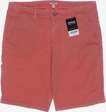 ESPRIT Shorts in L in Pink: front