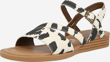 smėlio Blowfish Malibu Sandalai 'ARROW': priekis