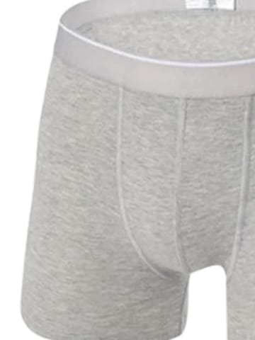 Boardshorts Erdem en gris