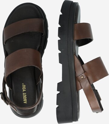 ABOUT YOU Sandals 'Leonora' in Brown