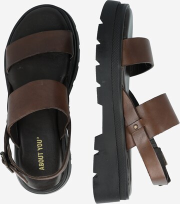 ABOUT YOU Sandal 'Leonora' in Brown