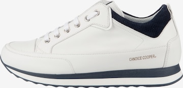 Candice Cooper Sneakers in Weiß