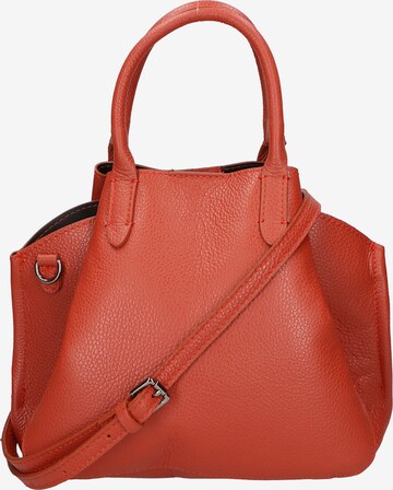 Gave Lux Handbag ' ' in Orange: front