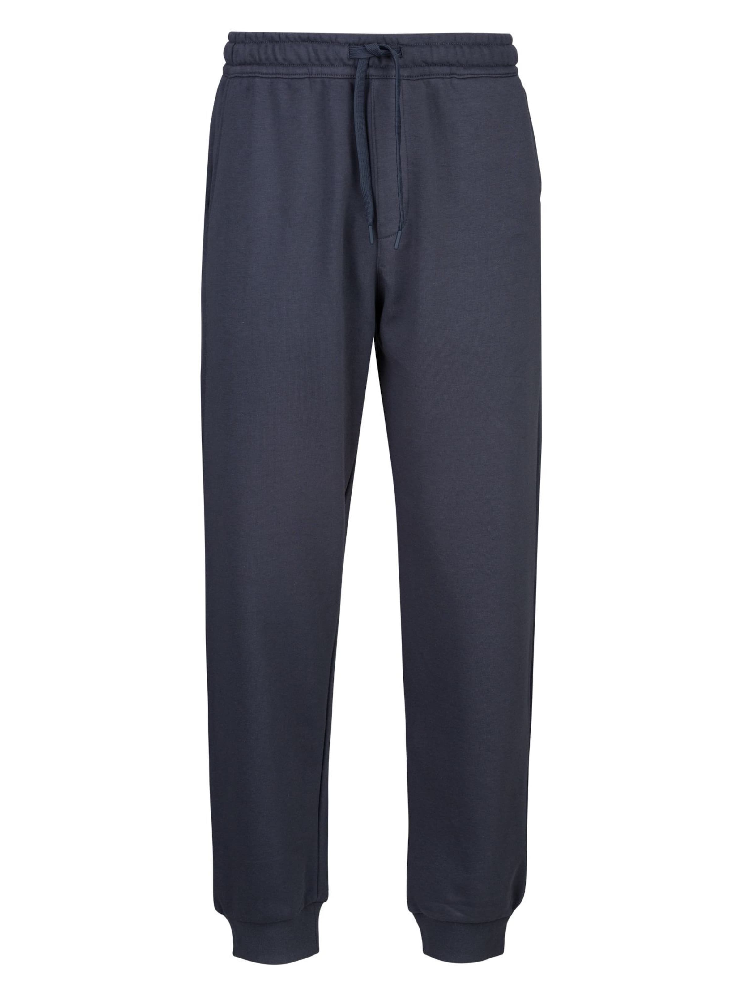 REPLAY Regular Trousers ' FRENCH TERRY COTTON-POLY ' in Blue: front