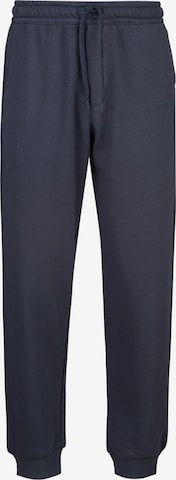 REPLAY Broek ' FRENCH TERRY COTTON-POLY ' in Blauw: voorkant