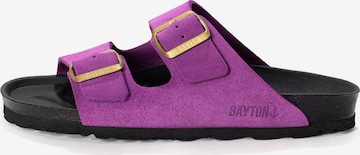Zoccoletto 'Atlas' di Bayton in lilla: frontale