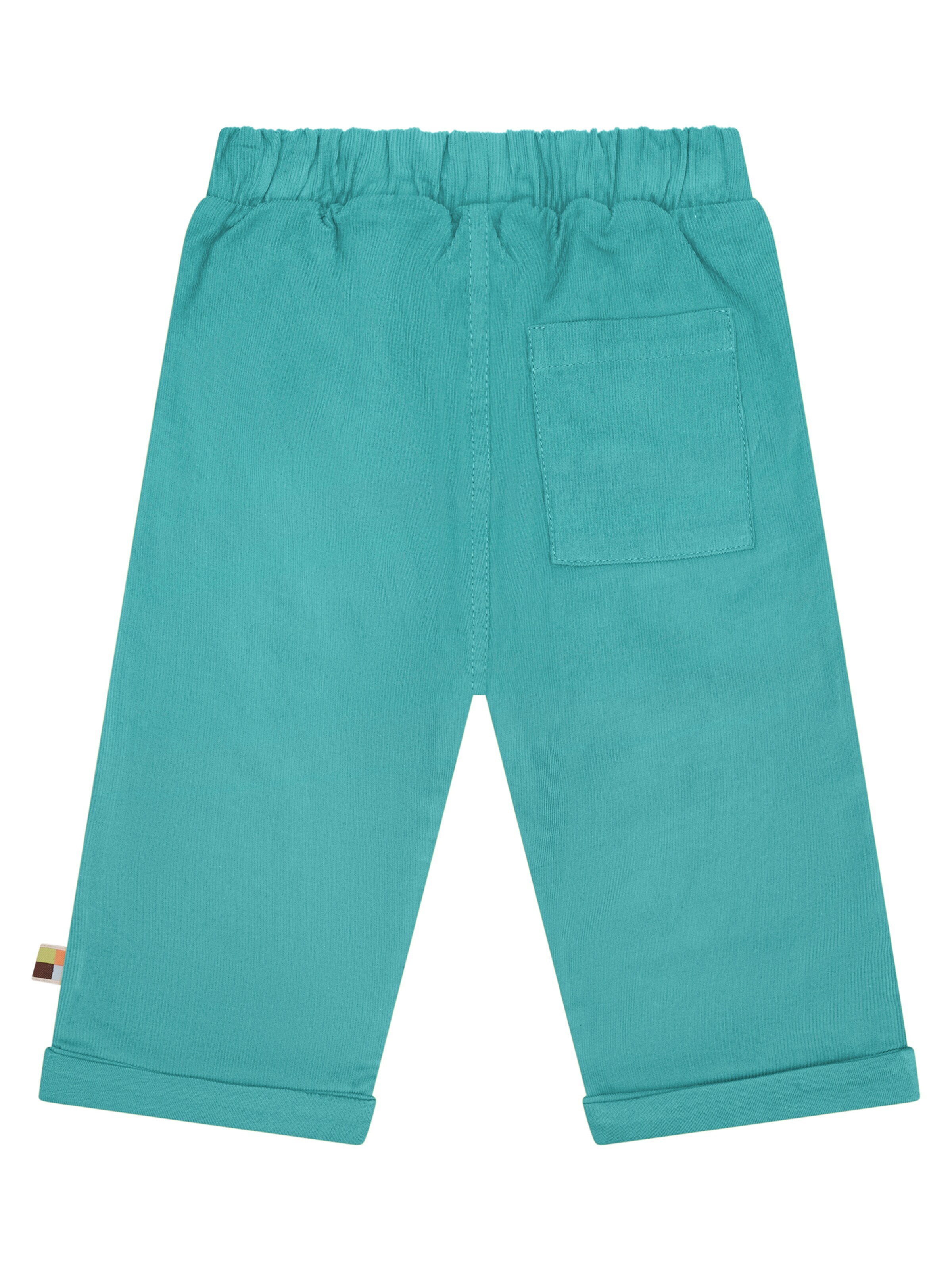 loud + proud Regular Pants in Green