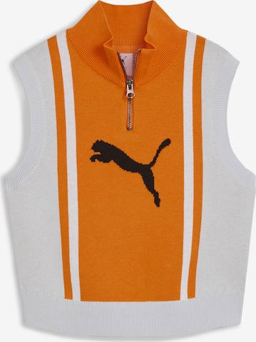 PUMA Sweater 'Future Archiv' in Grey: front