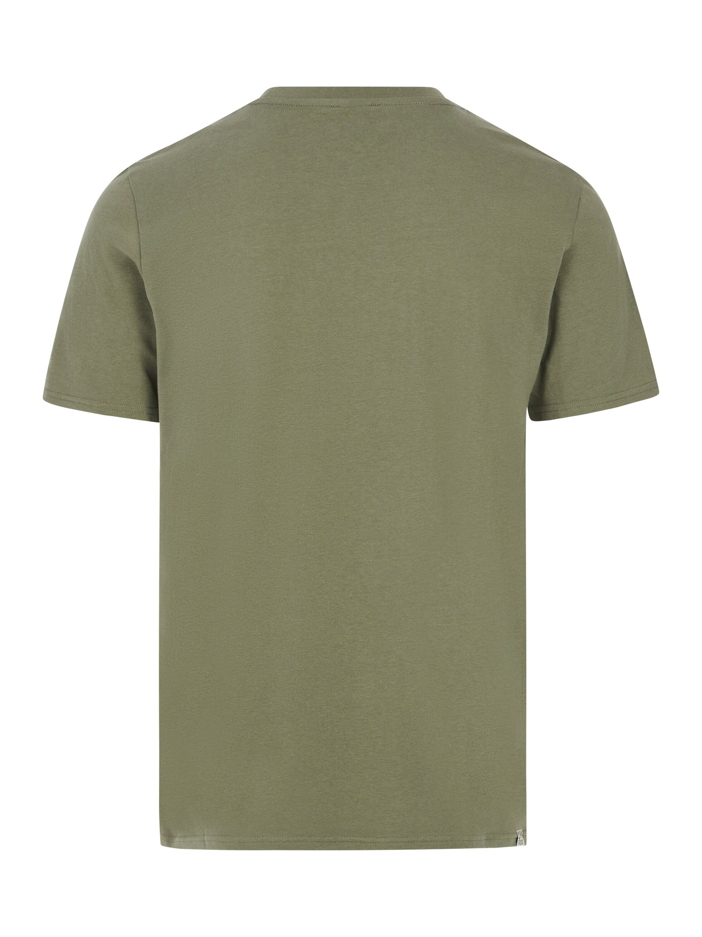 PROTEST Shirt 'PRTBarn' in Green