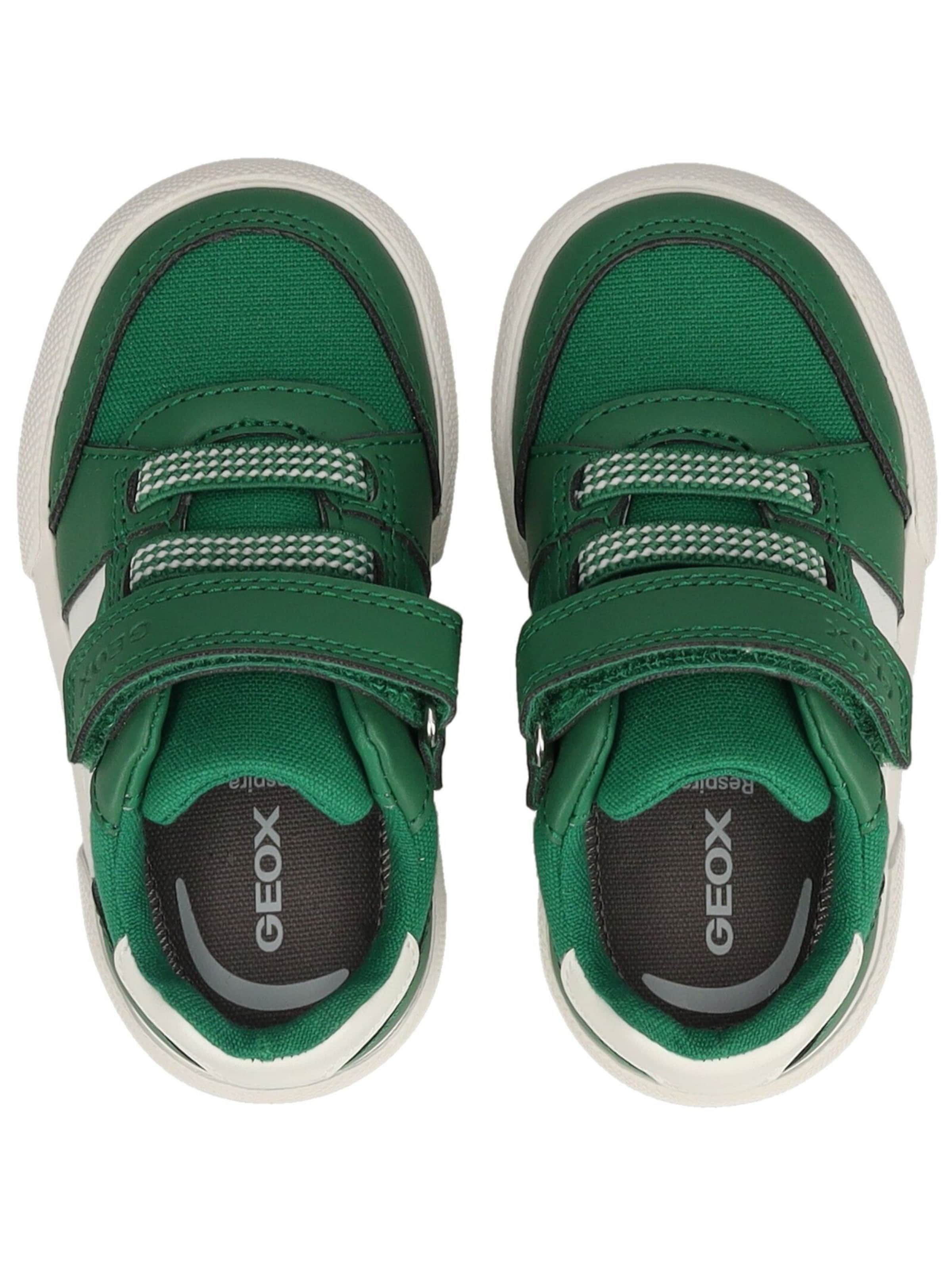 Baskets GEOX en vert