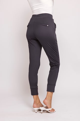 Zhrill Slim fit Pants in Grey