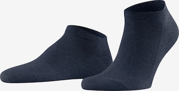FALKE Socks 'Family' in Blue: front