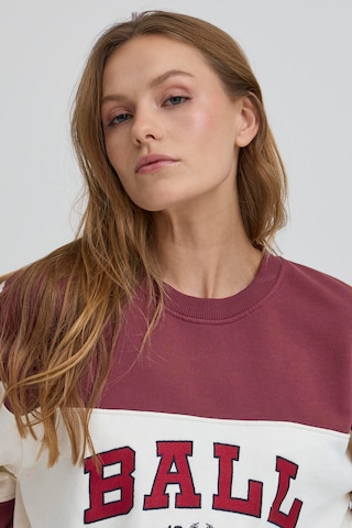 Ball Sweatshirt 'Montana' i brun