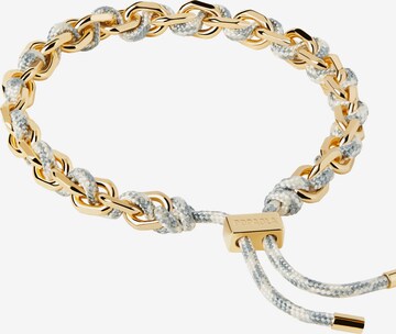 P D PAOLA Armband in Gold: predná strana