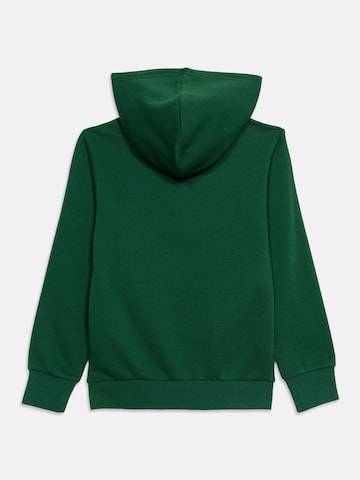 zaļš Champion Authentic Athletic Apparel Sportisks džemperis