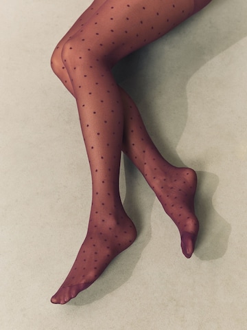 purpurinė Next Pėdkelnės