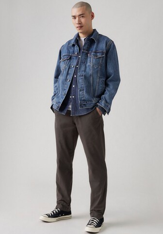 LEVI'S ® Regular Chino Pants 'Authentic' in Brown