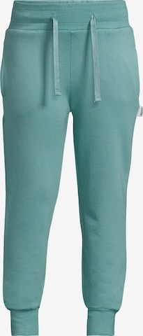New Life Pants in Blue: front