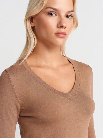 Pullover 'Pullover' di Dilvin in marrone