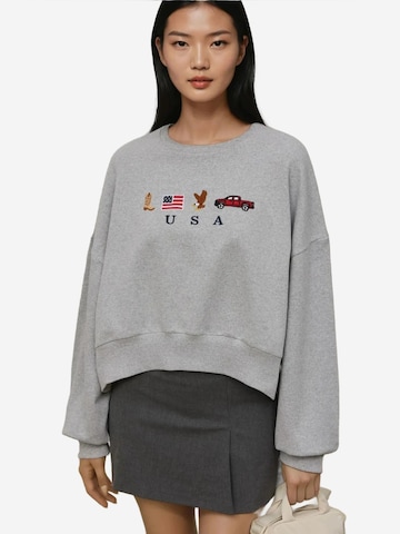 Hiccup - Sweatshirt em cinzento: frente