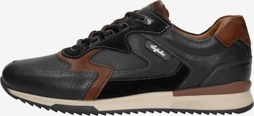 Baskets basses 'Bakersville' Australian en noir : devant