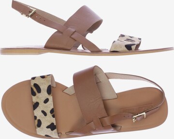 Asos Sandals & High-Heeled Sandals in 43 in Brown: front