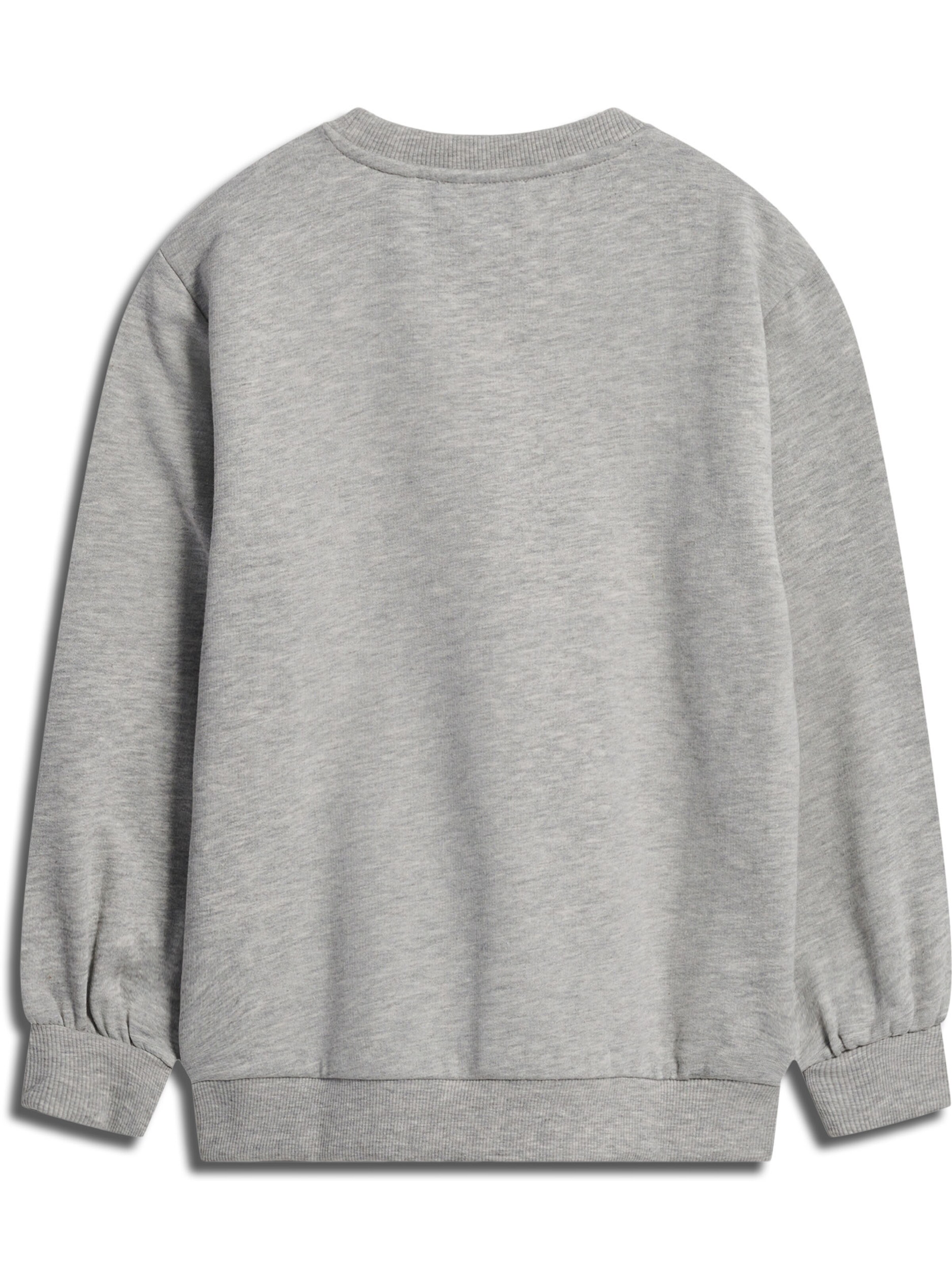 SOMETIME SOON Sweatshirt in Grey