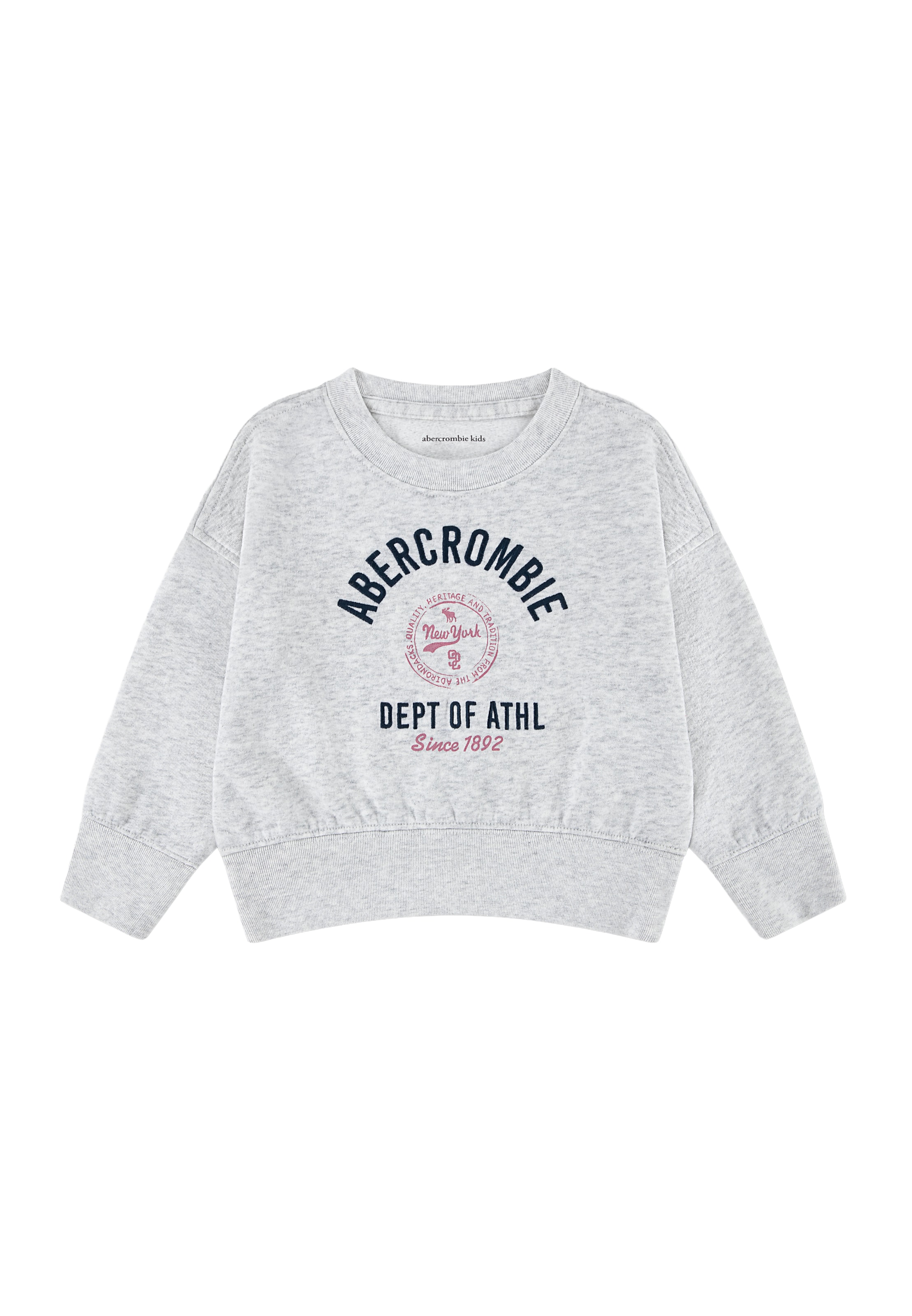 Abercrombie & Fitch Sweatshirt in Grijs: voorkant
