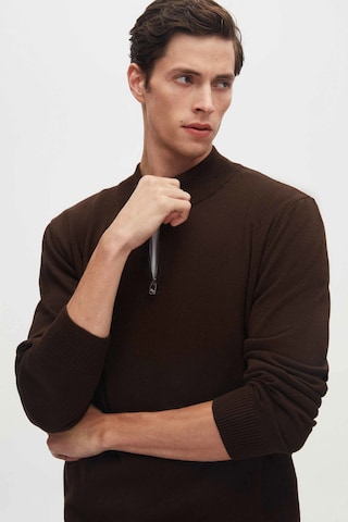 D’S Damat Trui in Bruin