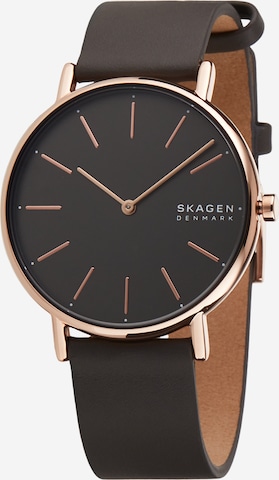 SKAGEN Uhr 'Signatur' in Grau: predná strana